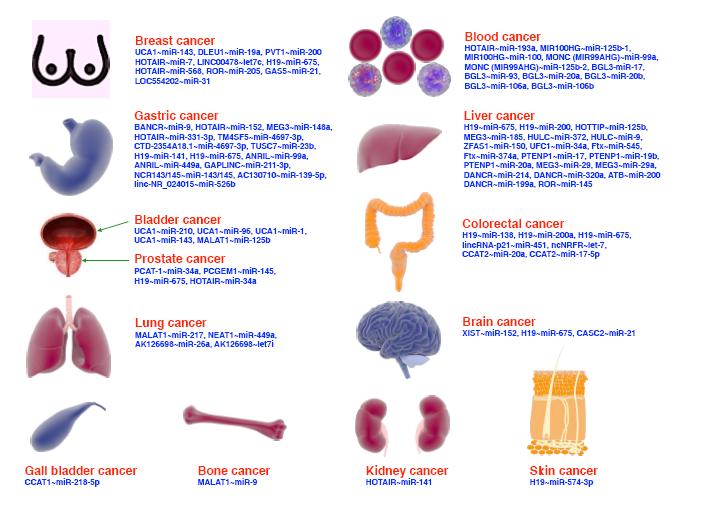 Clinical Characteristics Of Pregnant Female And Juvenile Patients With Mers A Systematic Review